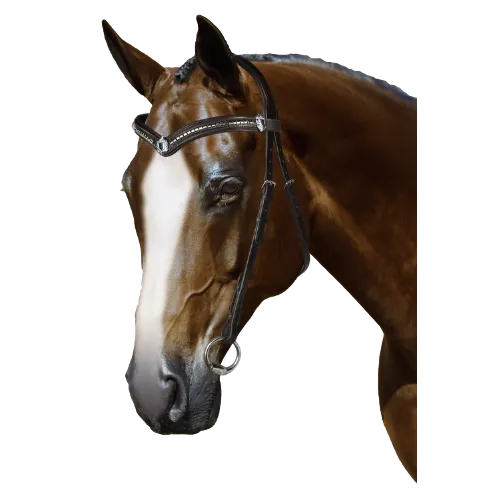 Mix & Match Custom Bridle - Havana Nosebandless Bridle - Customer's Product with price 154.85 ID dYI3upTYZBpFBaWK4UZlnhx7