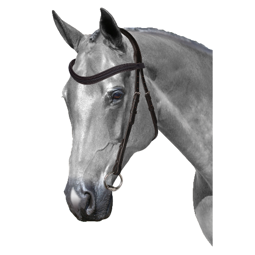 Mix & Match Custom Bridle - Havana Nosebandless Bridle - Customer's Product with price 194.80 ID ViQjFbedMcGSJLlaSZab5uvQ