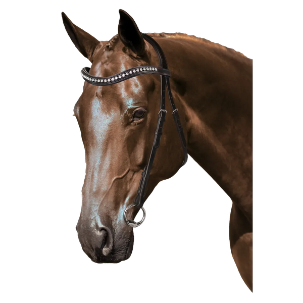 Mix & Match Custom Bridle - Havana Nosebandless Bridle - Customer's Product with price 234.80 ID kuS44gwv9sohafaTzyivJK6Y