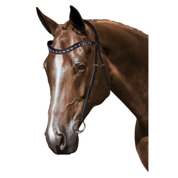 Mix & Match Custom Bridle - Havana Nosebandless Bridle - Customer's Product with price 234.80 ID uJyhmadm__5ELqhv-3pWk5F0