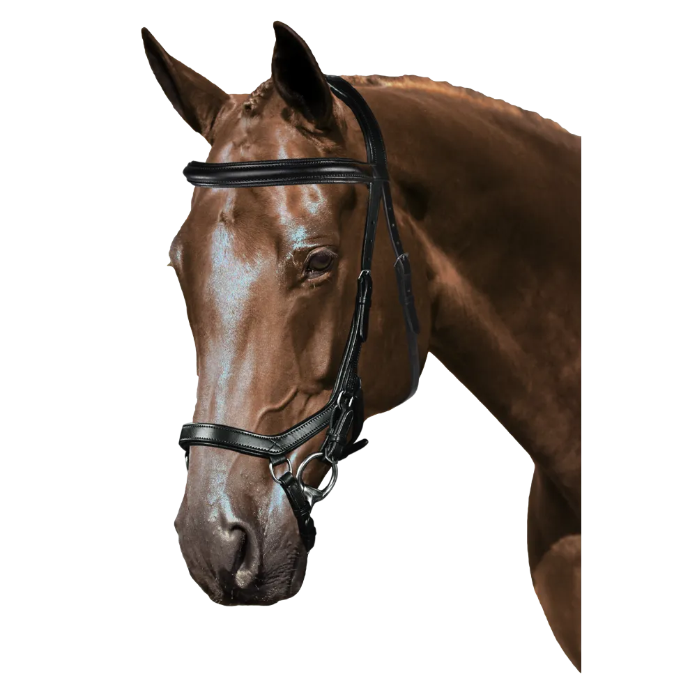 Mix & Match Custom Bridle - Black Ergonomic Bridle - Customer's Product with price 254.80 ID cDN4NkULCzW_oDhg9z3UiXgI