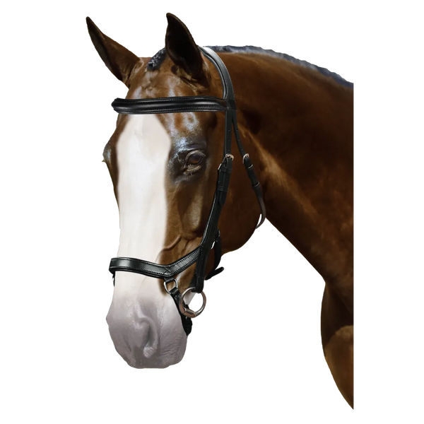 Mix & Match Custom Bridle - Black Ergonomic Bridle - Customer's Product with price 284.75 ID sa4qD8ANL7zjKS0lBuDlPfNd