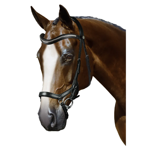 Mix & Match Custom Bridle - Black Ergonomic Bridle - Customer's Product with price 284.80 ID ewvLqOkjeLxh51f0GeZfNtVF