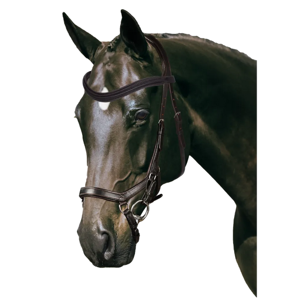 Mix & Match Custom Bridle - Havana Ergonomic Bridle - Customer's Product with price 284.75 ID T9Vf1vu-kqycyO49UH0HX_nQ