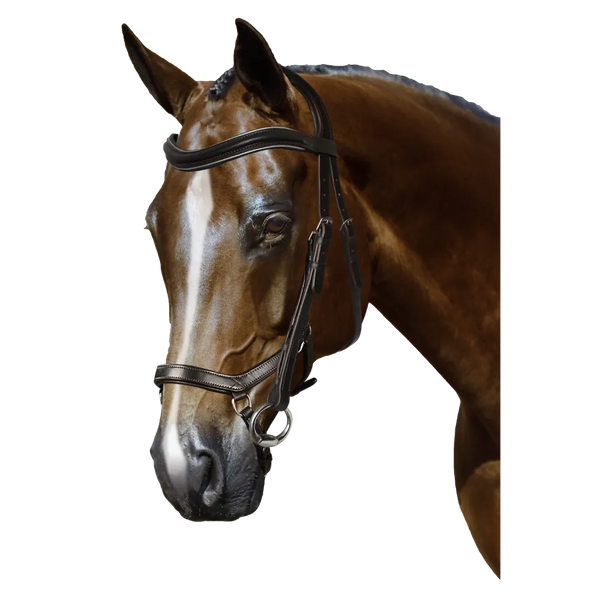 Mix & Match Custom Bridle - Havana Ergonomic Bridle - Customer's Product with price 214.80 ID mNf_IGNPPavIzynIYT9VVAyb