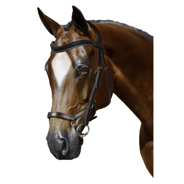 Mix & Match Custom Bridle - Havana Ergonomic Bridle - Customer's Product with price 284.75 ID tF3gcdekHUnqa3NxCPc5hJoG