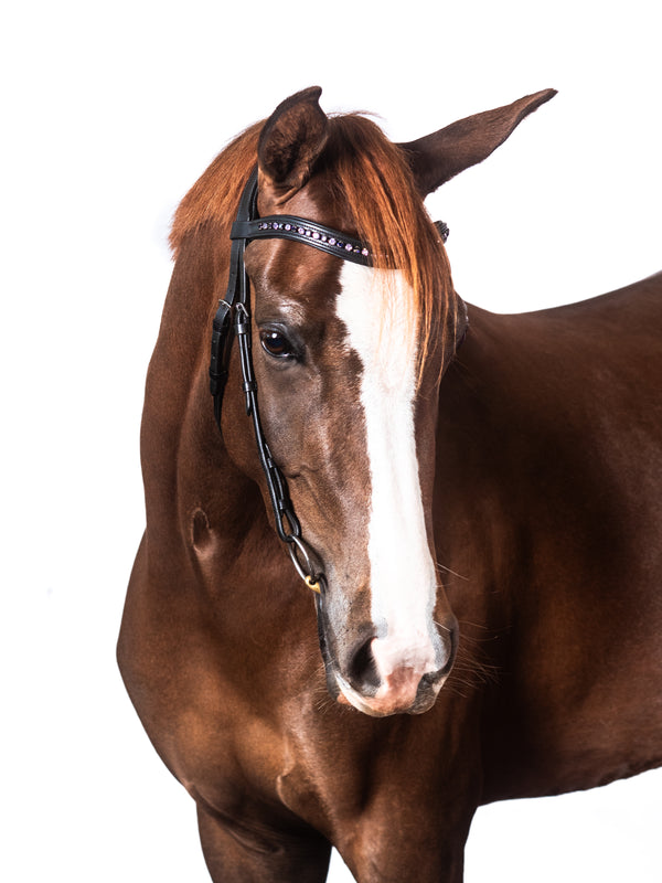 Black Nosebandless Snaffle Bridle 'Anne'