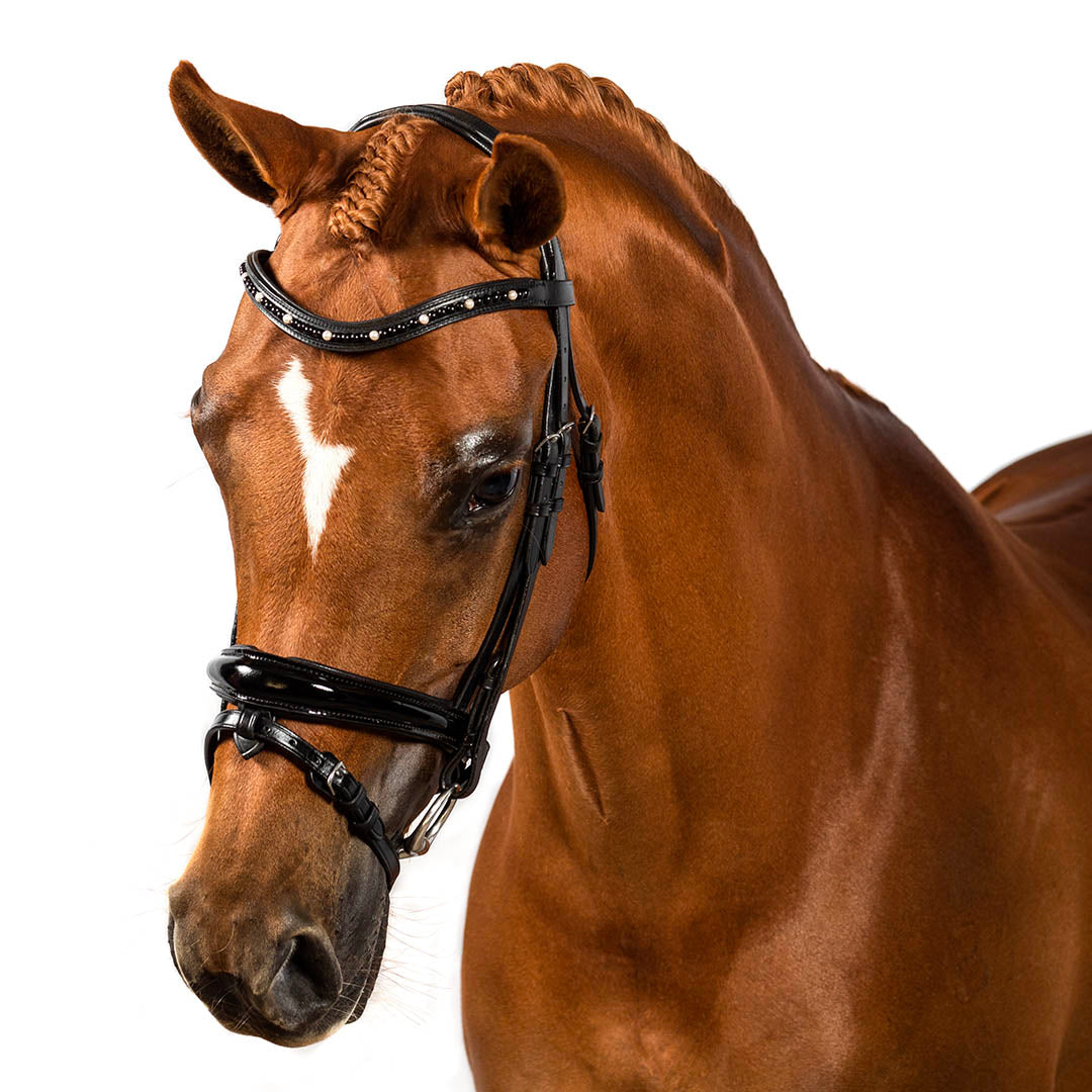 Mystic Black Pearl Wave Gel Browband - Black