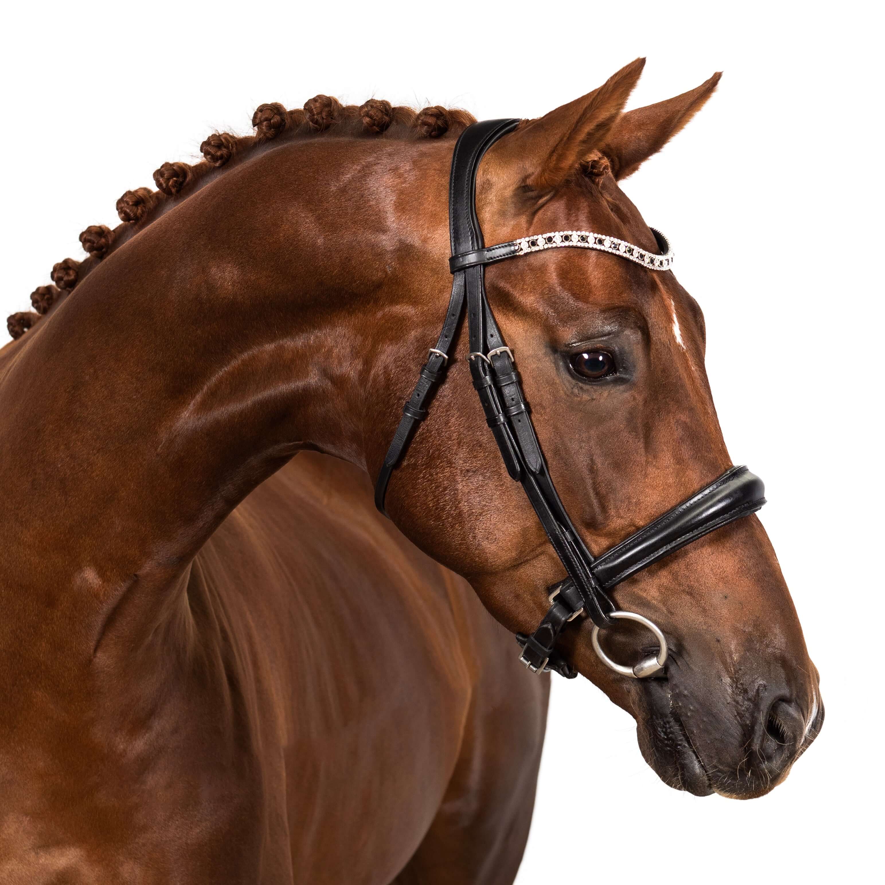 Black and Clear Thin Wave Browband - Black