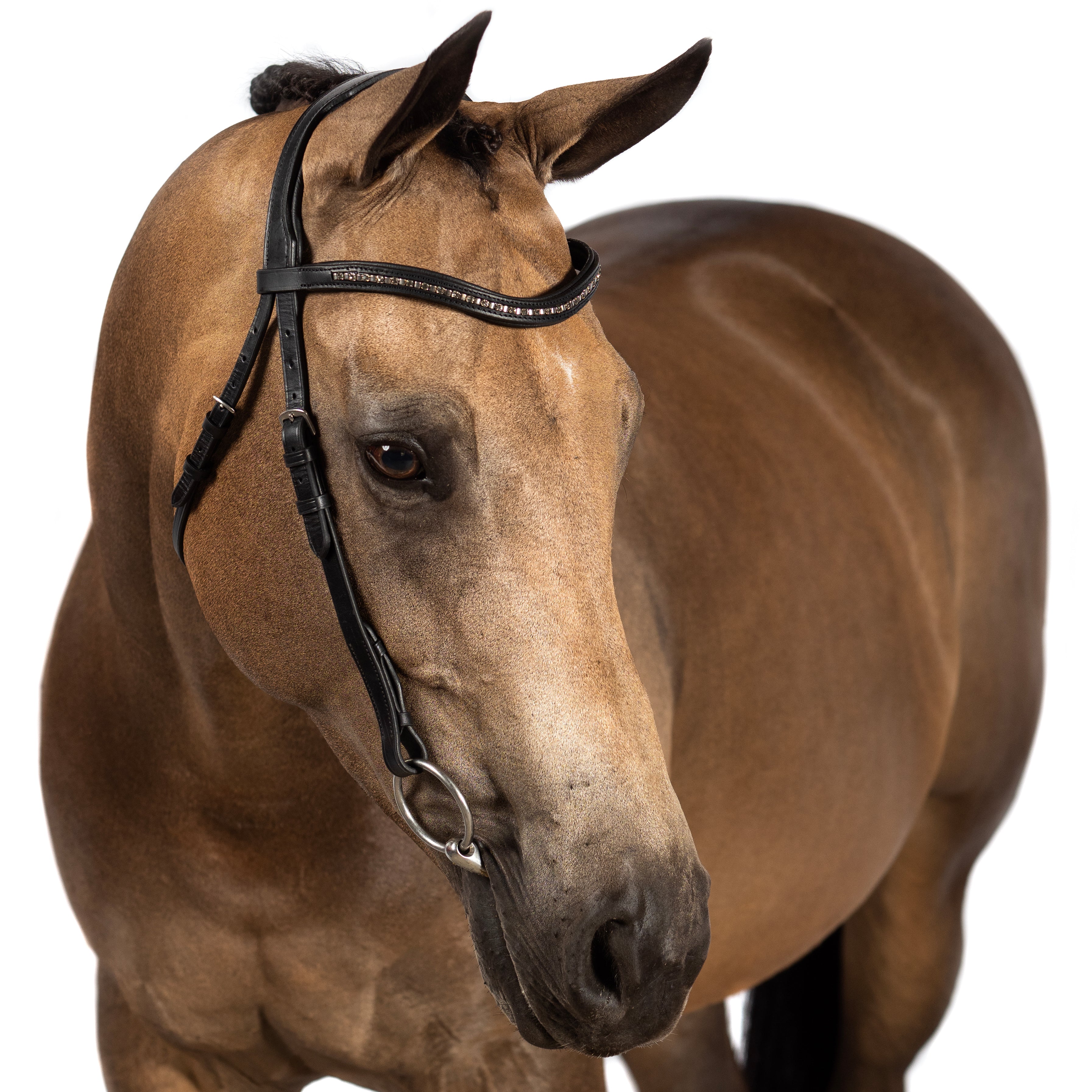 Grey Crystal and Mini Clincher Wave Gel Browband - Black