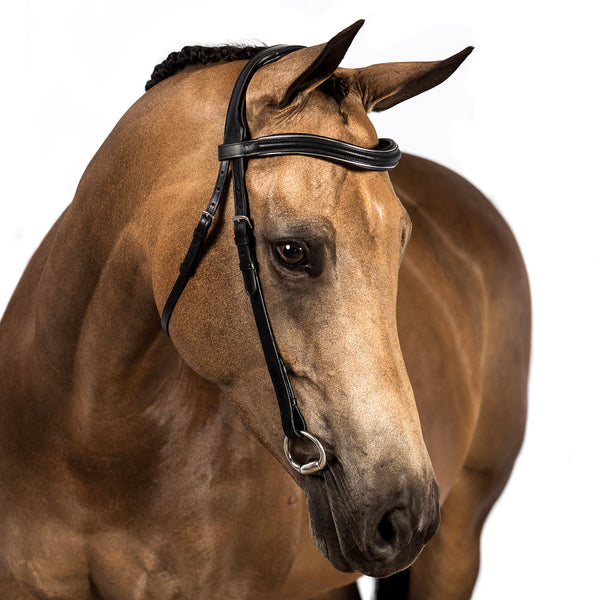 Raised Plain with Silver Pipe Wave Gel Browband - Black