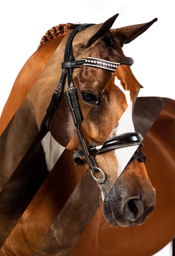 Product Review: Flexible Fit Equestrian Mix and Match Bridle