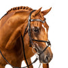 S/s Clincher with Shields V Gel Browband - Havana