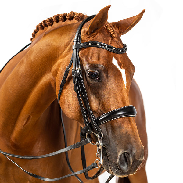 Mystic Black Pearl Wave Gel Browband - Black