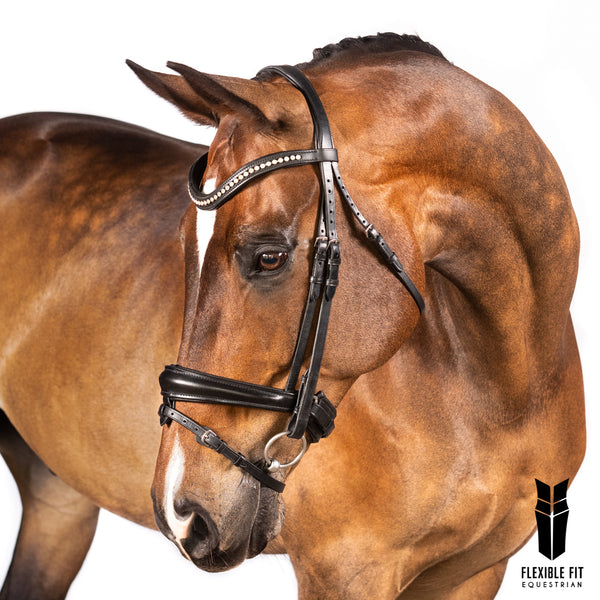 Product Review: Flexible Fit Equestrian Mix and Match Bridle  Eventing  Nation - Three-Day Eventing News, Results, Videos, and Commentary