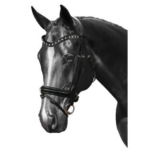 Mix & Match Custom Bridle - Black Snaffle - Customer's Product with price 329.75 ID 85PnxOCJj0GppM58PdTCmPit