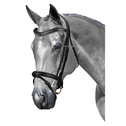 Mix & Match Custom Bridle - Black Snaffle - Customer's Product with price 239.80 ID sK6EVt3p26a_63IwQVhtX5TH