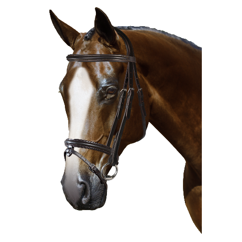 Mix & Match Custom Bridle - Havana Snaffle Bridle - Customer's Product with price 209.80 ID ANw5QfO801EUrYtvvWmtfBX7